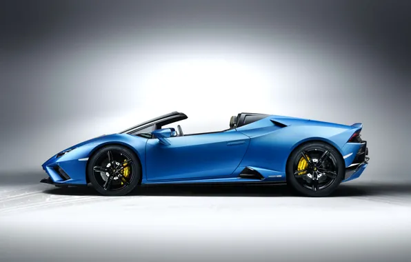 Lamborghini, вид сбоку, Spyder, Huracan, 2020, RWD, Huracan EVO