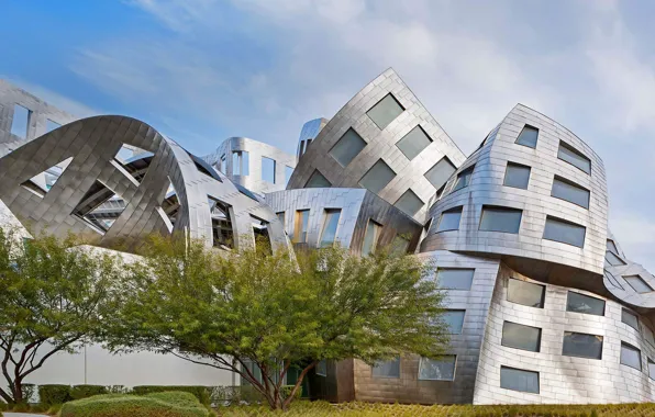 Картинка Лас-Вегас, США, Невада, Центр лечения заболеваний головного мозга Лу Руво