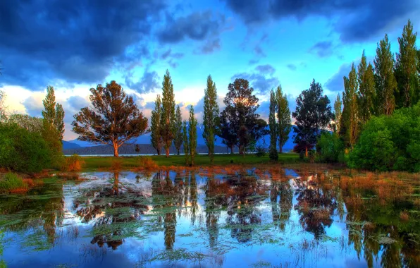 Небо, облака, деревья, отражение, река, HDR, Новая Зеландия, New Zealand