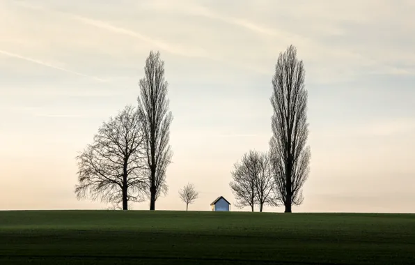 Картинка поле, дом, дерево