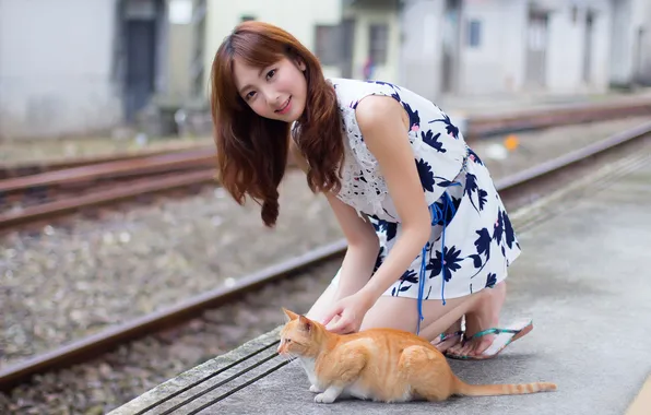 Картинка кошка, девушка, азиатка