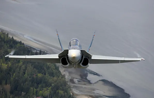 Картинка истребитель, кабина, многоцелевой, Hornet, CF-18