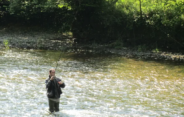 France, River, Fishing, Trout, Flayfishing