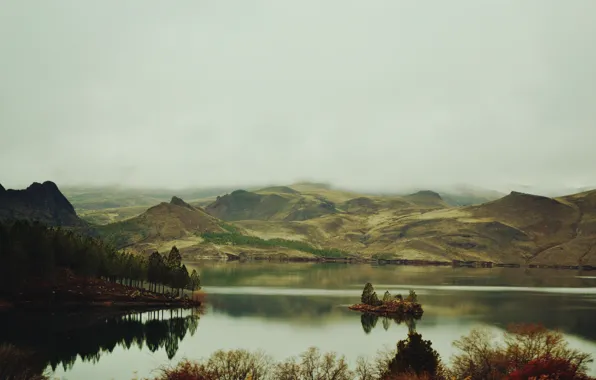 Картинка деревья, горы, туман, озеро, островок