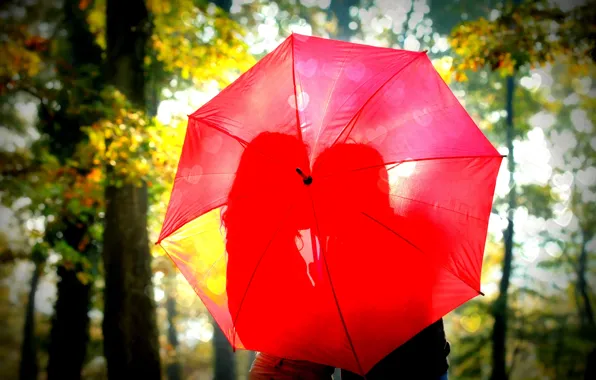 Картинка листья, девушка, солнце, деревья, любовь, красный, природа, зонтик