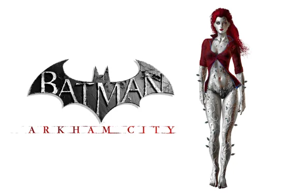 Картинка girl, fantasy, game, Batman, Arkham City, Batman Arkham City, superhero, DC Comics