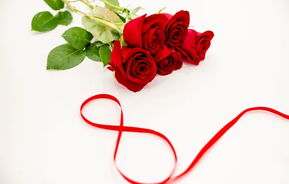 Картинка цветы, розы, лента, красные, red, 8 марта, flowers, romantic