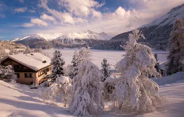 Картинка зима, снег, деревья, пейзаж, горы, природа, дом, Швейцария