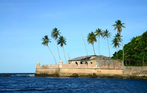 Nature, Landscapes, Brazil, Bahia, South American