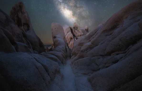 Картинка небо, ночь, природа, камни, млечный путь, Joshua Tree, national park