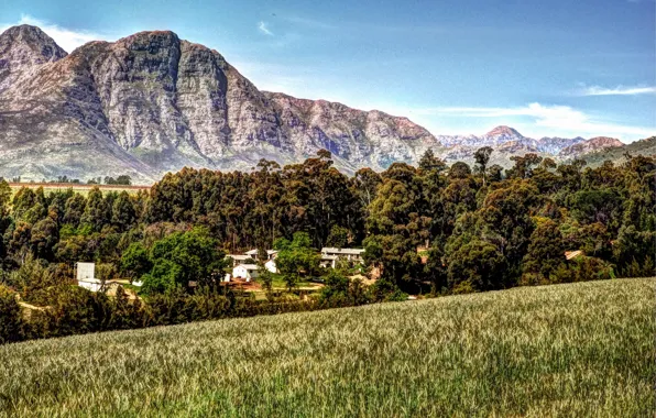 Горы, ЮАР, сады, Kirstenbosch, национальный ботанический сад, Кирстенбош