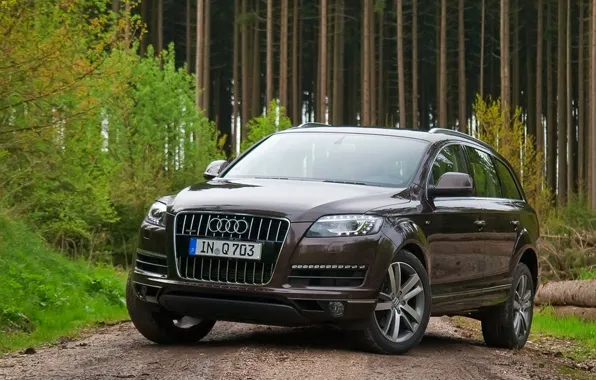 Дорога, лес, ауди, audi