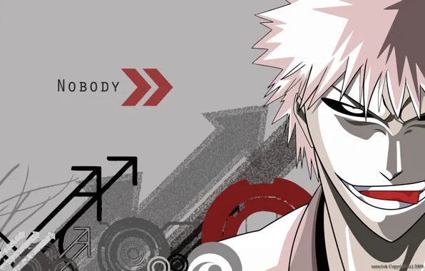 Bleach, Блич, пустой, Хичиго