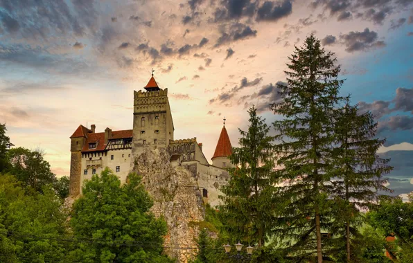 Деревья, Romania, Румыния, Bran Castle, Brasov, Брашов, Замок Бран, Draculas Castle