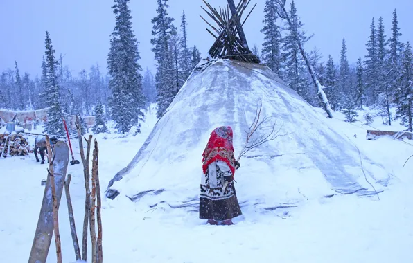 Зима, лес, снег, в снегу, ситуация, мороз, девочка, сугробы