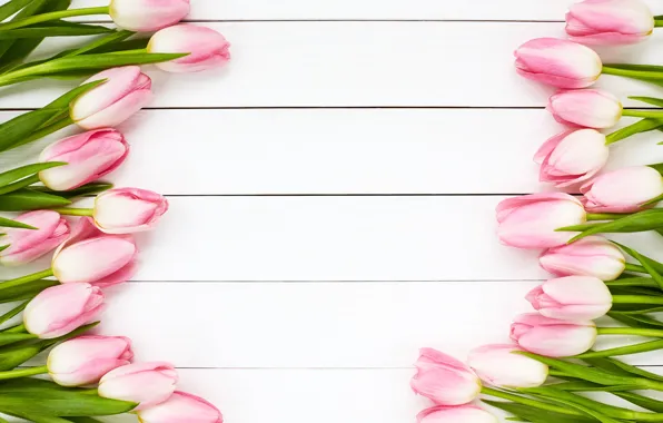 Тюльпаны, розовые, wood, pink, flowers, tulips