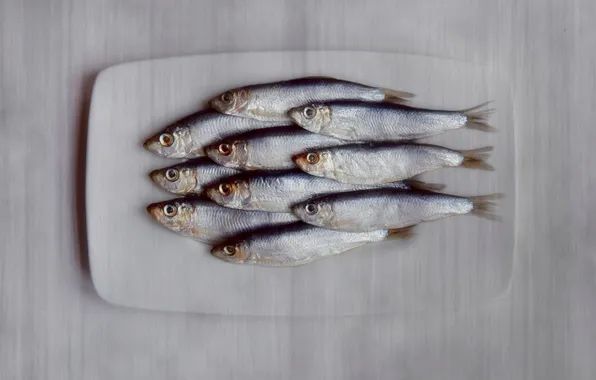 Картинка фон, еда, рыба