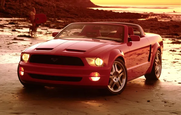 Картинка 2003, Mustang GT, Convertible Concept