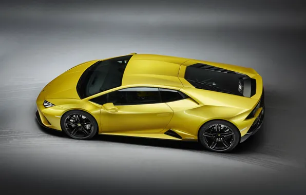 Lamborghini, Huracan, 2020, RWD, Huracan Evo