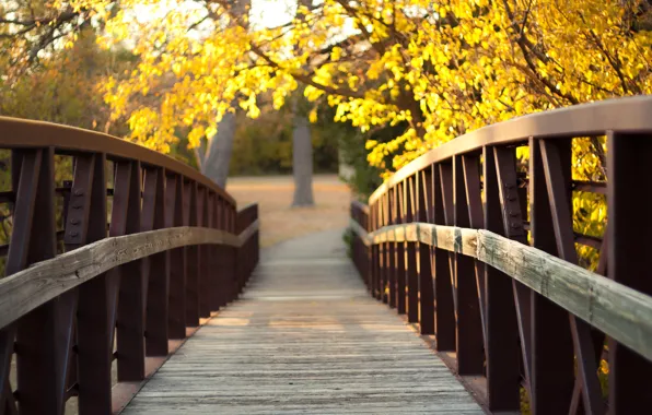 Картинка осень, природа, блики, мостик, жёлтые