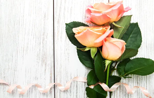 Букет, лента, розовые, wood, roses, bouguet, Olena Rudo