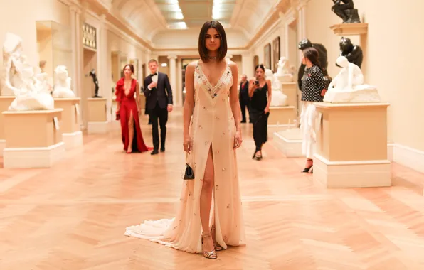 Стрижка, знаменитость, длинное платье, Selena Gomez
