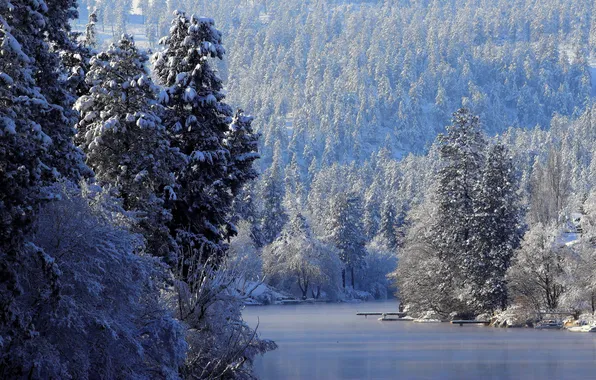 Картинка зима, иней, лес, снег, деревья, река, лёд