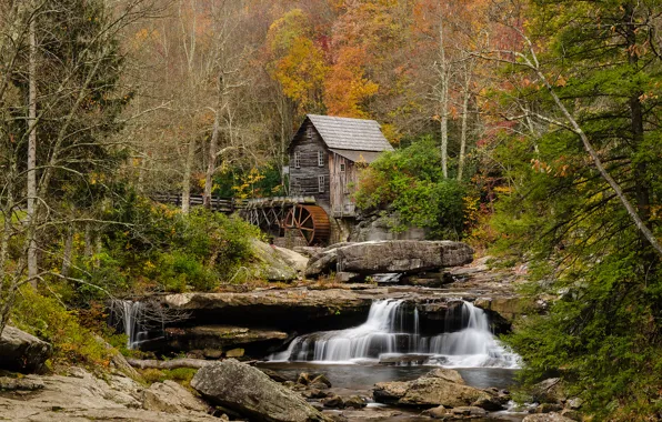 Картинка осень, лес, природа, река, водяная мельница, потоки