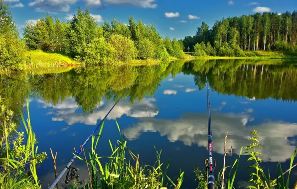 Картинка лес, природа, озеро, отражение, рыбалка, удочки