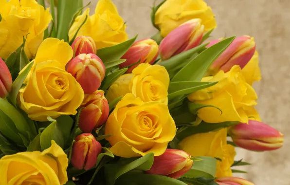 Картинка цветы, розы, букет, желтые, тюльпаны