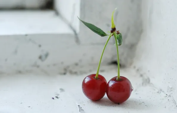 Berry, window, cherry