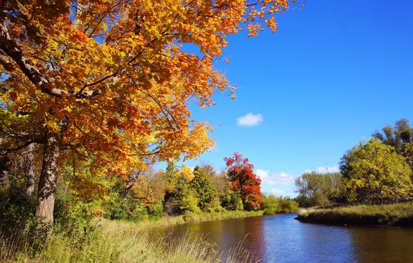 Картинка осень, деревья, река, Канада, Онтарио, район Миссиссога