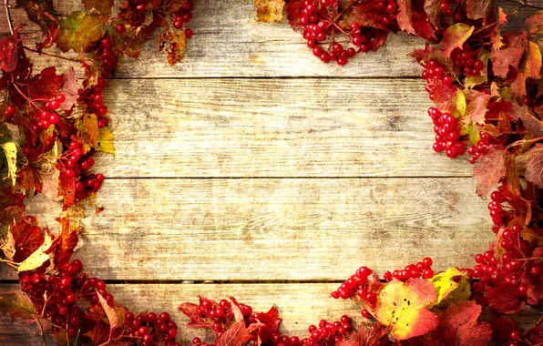 Осень, листья, autumn, leaves, веточки калины, twigs of viburnum