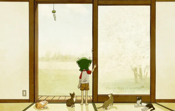 Картинка кошки, ребенок, дверь, девочка, Yotsubato, the cat days of summer