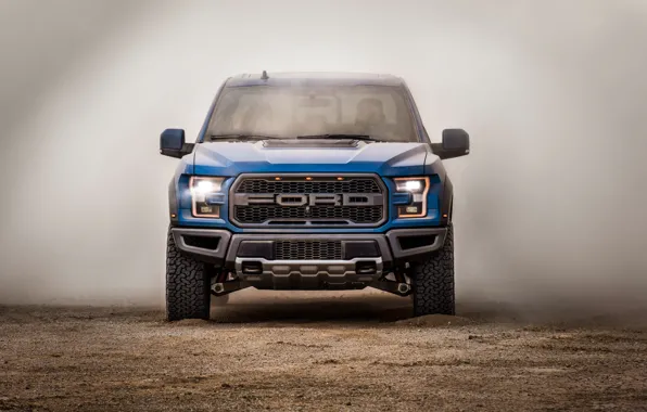 Ford, пыль, вид спереди, Raptor, пикап, F-150, SuperCrew, 2019