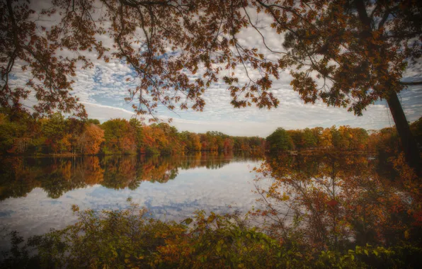 Осень, природа, озеро, Maryland