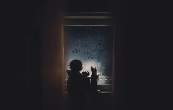 Кошка, стекло, капли, свет, рыбки, ночь, уют, темнота