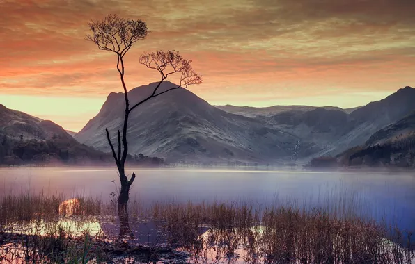 Небо, облака, деревья, горы, озеро