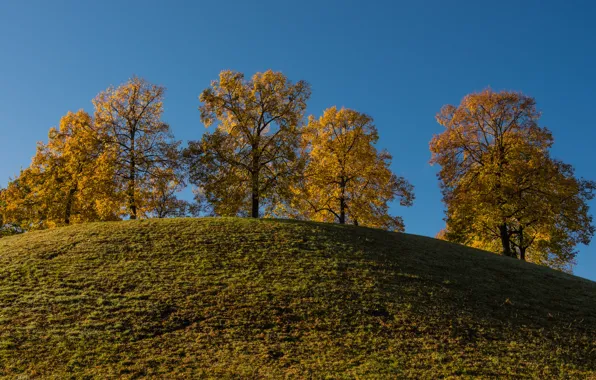 Картинка небо, трава, деревья, природа, холм, ранняя осень