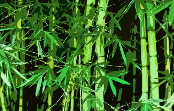 Лес, China, Бамбук, Китай, Bamboo