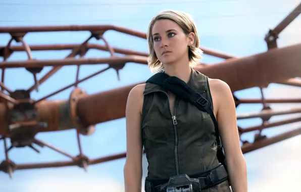 Shailene Woodley, Дивергент, Шейлин Вудли, The Divergent Series:Allegiant, За стеной