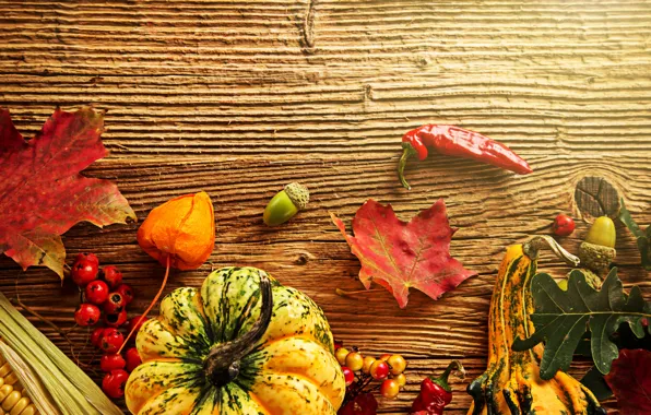 Картинка осень, листья, ягоды, дерево, кукуруза, урожай, тыква, перец