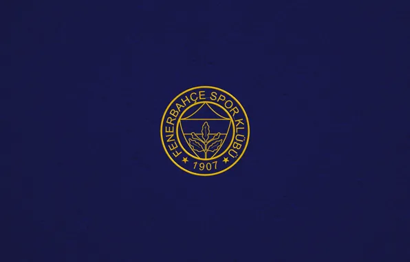 Turkey, Football Club, Fenerbahce