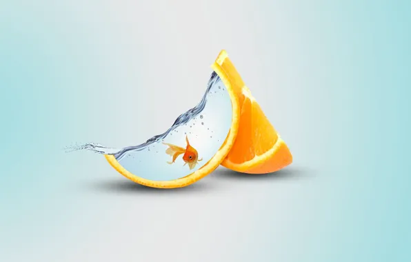 Картинка water, orange, artist, fish