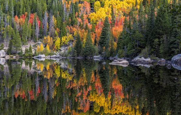 Осень, лес, горы, озеро, отражение, камни, берег, ели