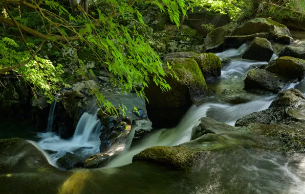 Вода, Природа, Поток, Река, Камни, Мох