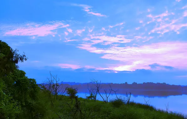 Sun, Water, Sunrise, Dawn, Morning, Lake, Trees, Reflection