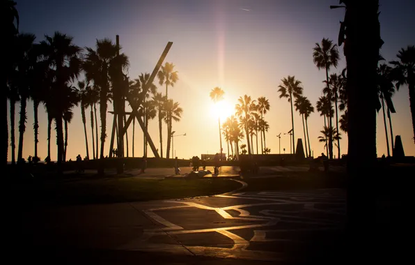 Картинка summer, california, sunset, los angeles, palm, venice beach