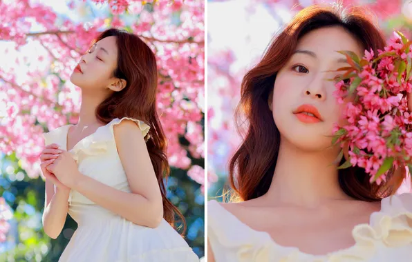 Beautiful, Asian, Model, Tree, Flowers, Woman, Cute, Pretty