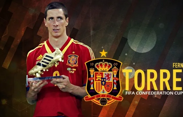 Испания, Fernando Torres, Торрес, Золотая бутса